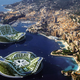 Illustration for article titled A Floating Ecopolis for the Age of Rising Seas